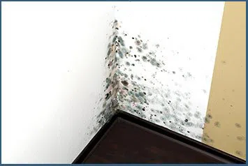 North Miami Beach Emergency Restoration North Miami Beach, FL 786-361-3944 - county-wdr-4