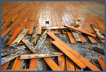 North Miami Beach Emergency Restoration North Miami Beach, FL 786-361-3944