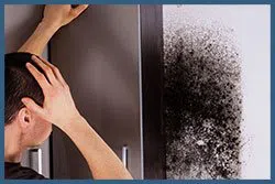 North Miami Beach Emergency Restoration North Miami Beach, FL 786-361-3944 - sid-mold-v2-wgr-14